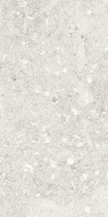 Sea Luster Bianca Matte 12 x 24